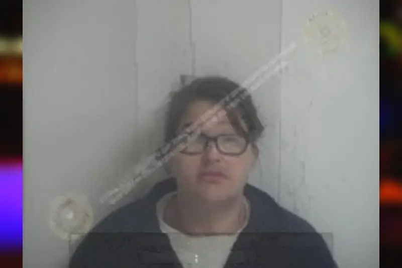 Karen Collins Mugshots