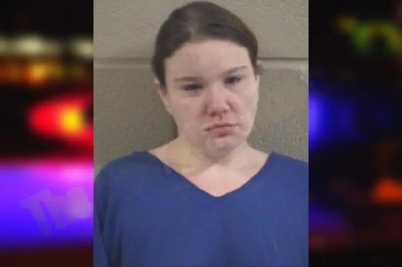 Kayla Medeiros Mugshots