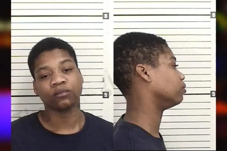 Ki’Ree Lanier mugshot – Camden County , Georgia Ki’Ree Lanier