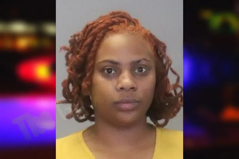 Kierstin Ash mugshot