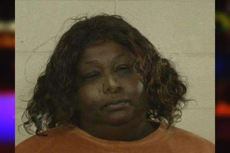 Lakia Brunson mugshot – Liberty County , Georgia Lakia Brunson