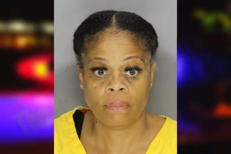 Latasha Johnson mugshot – Cobb County , Georgia Latasha Johnson