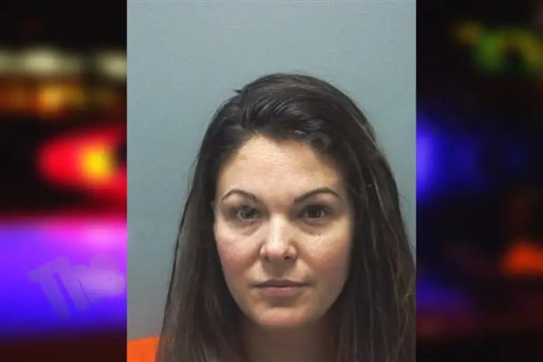 Laura Smith mugshot – Cherokee County , Georgia Laura Smith