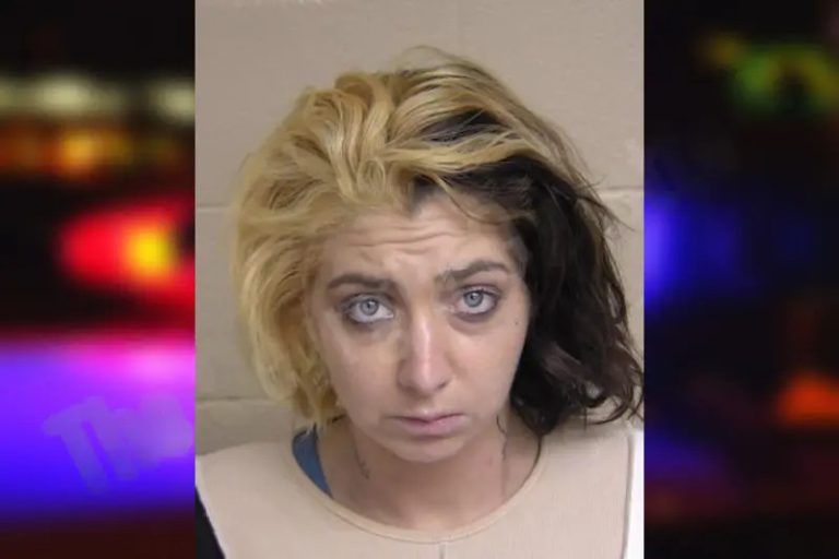 Lauren Blake mugshot – Walker County , Georgia Lauren Blake