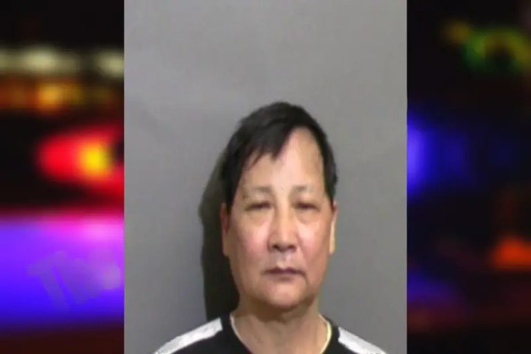 Lecia Huang mugshot – Glynn County , Georgia Lecia Huang