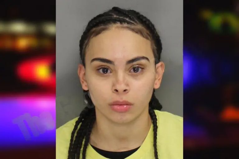 Leeanna Velasquez mugshot – Cobb County , Georgia Leeanna Velasquez