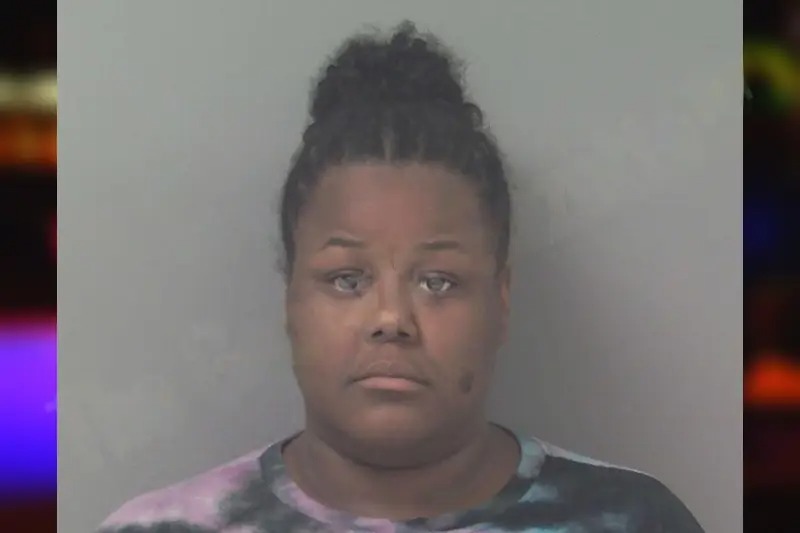 Lenada Vilxama Mugshots