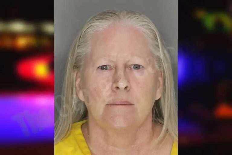 Linda Dunagan mugshot – Cobb County , Georgia Linda Dunagan