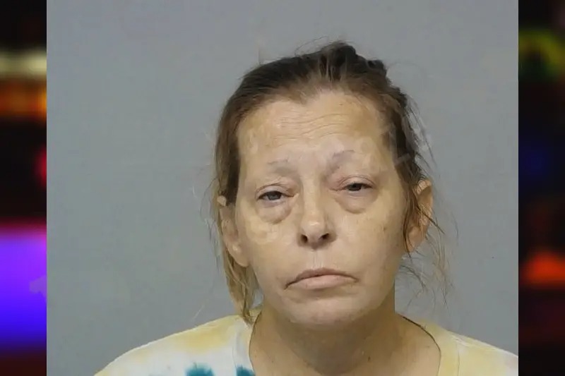 Lindsay Hurley Mugshots