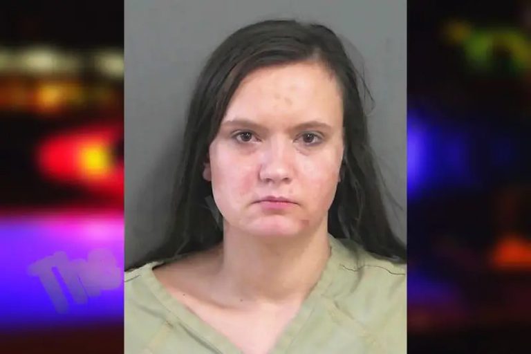 Lindsey Perry mugshot – Gordon County , Georgia Lindsey Perry