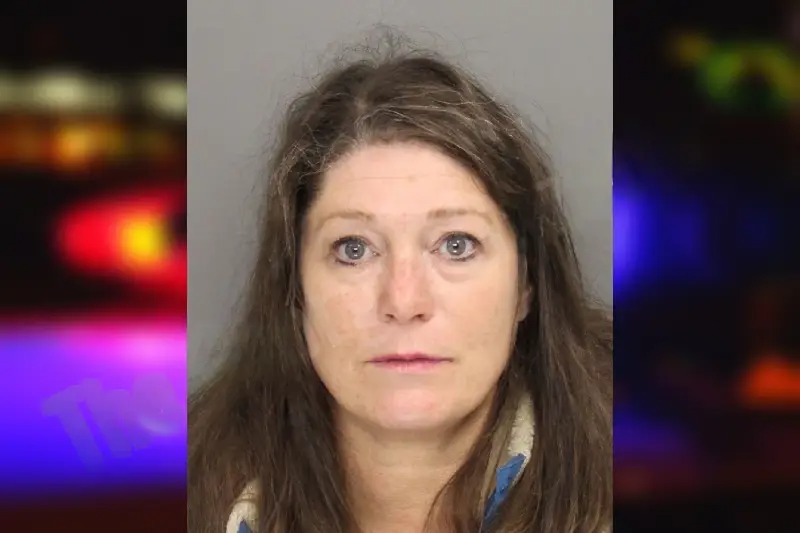 Lisa Lehman Mugshots