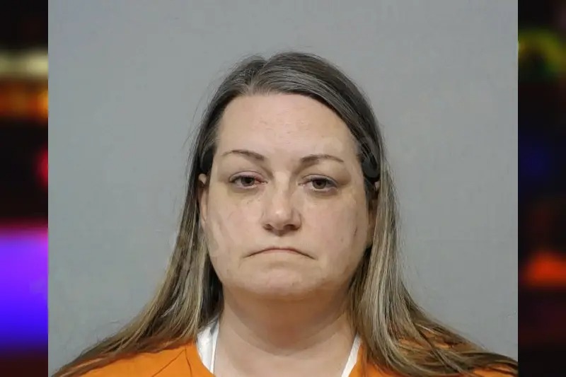 Lisa Price mugshot