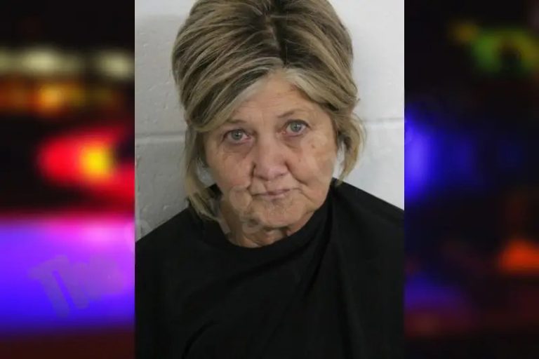 Lynna Hanes mugshot – Floyd County , Georgia Lynna Hanes