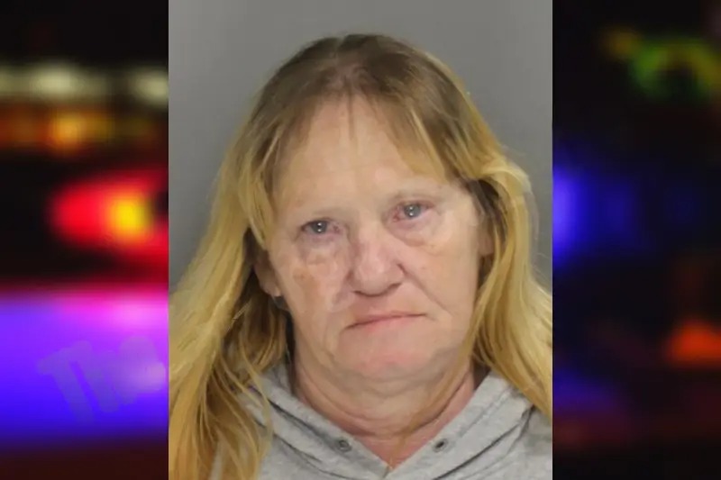 Mary Fowler mugshot – Cobb County , Georgia Mary Fowler mugshot