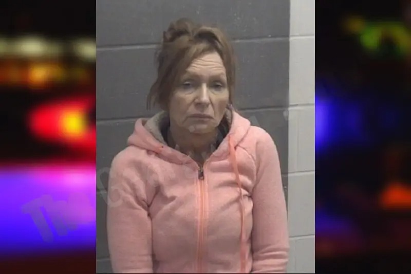 Mary Safady Mugshots