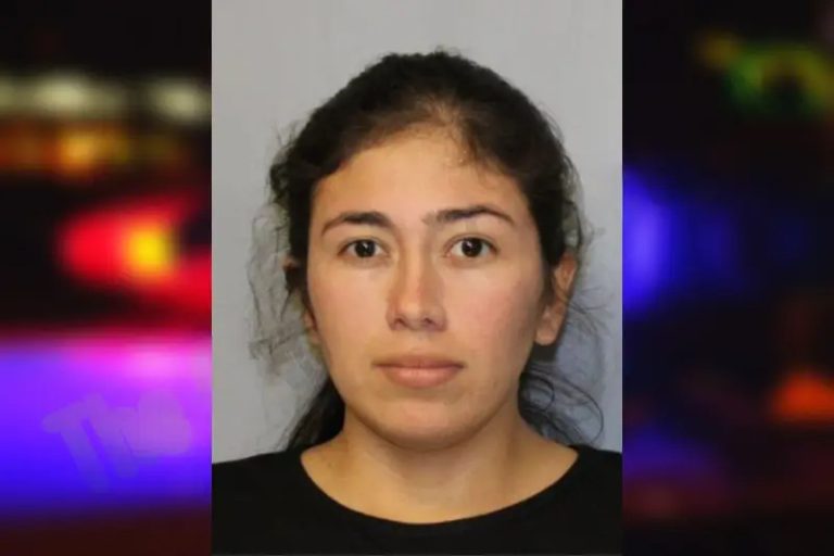 Mayerly Arellano mugshot – Hall County , Georgia Mayerly Arellano