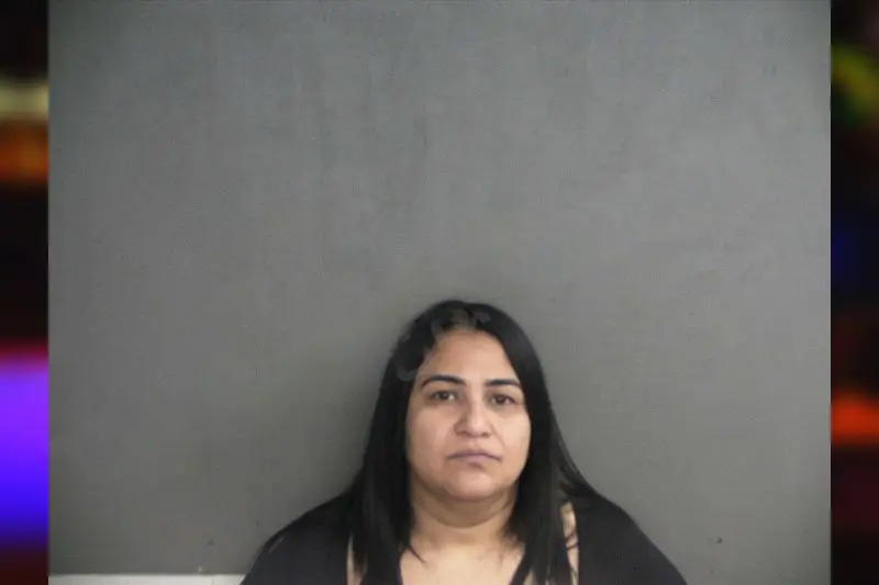 Mayra Cabrera Bracho mugshot – Twiggs County , Georgia Mayra Cabrera Bracho mugshot