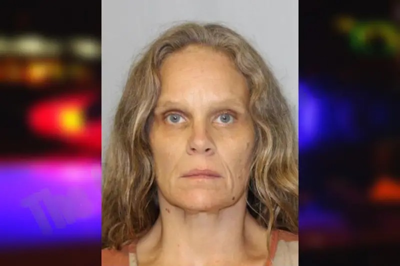 Melissa Buffington Mugshots