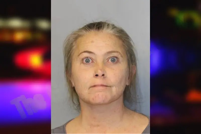 Michelle Miller Mugshots