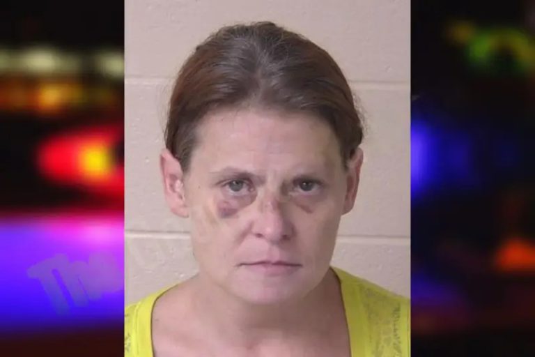 Millie Buckner mugshot – Walker County , Georgia Millie Buckner