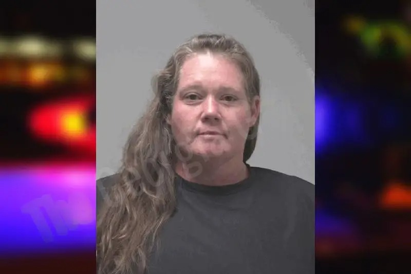 Mindie Long Mugshots