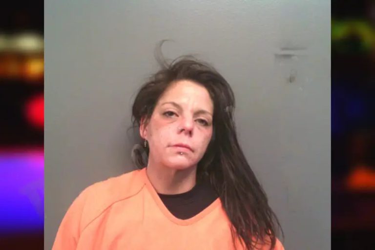 Mindy Collins mugshot – Lumpkin County , Georgia Mindy Collins