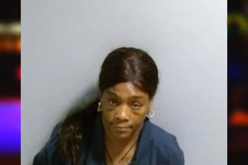 Minnie Hemphill Mugshots