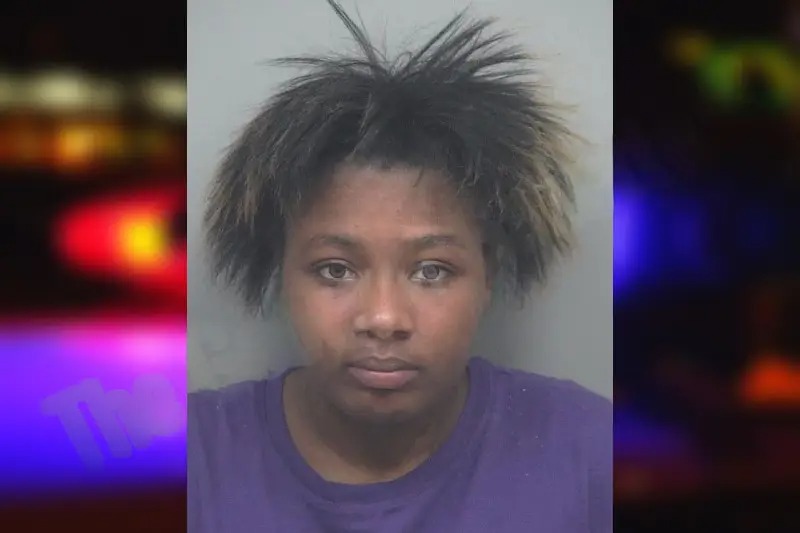 Miricale Parks mugshot