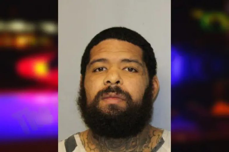 Nicholas Lovelace mugshot – Hall County , Georgia Nicholas Lovelace