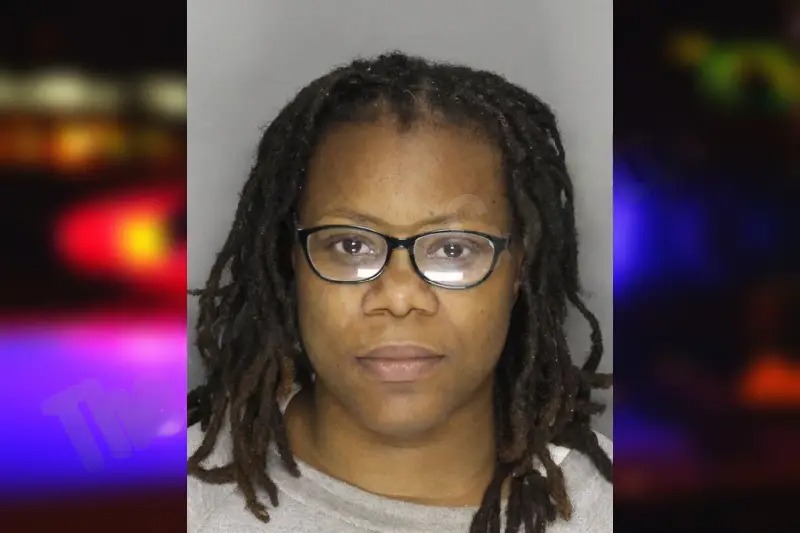 Nikki Flukers Mugshots