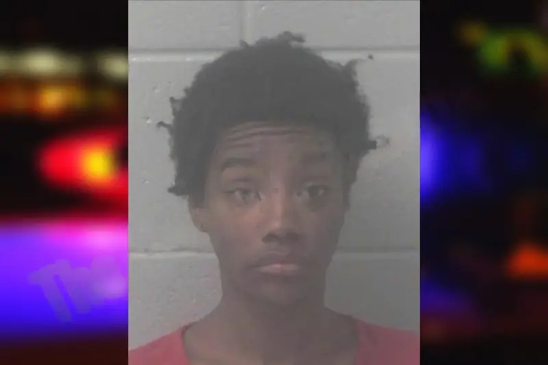 Olethia Davenport Mugshots