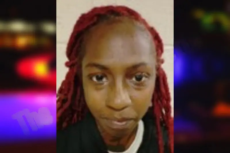 Paris Williams mugshot