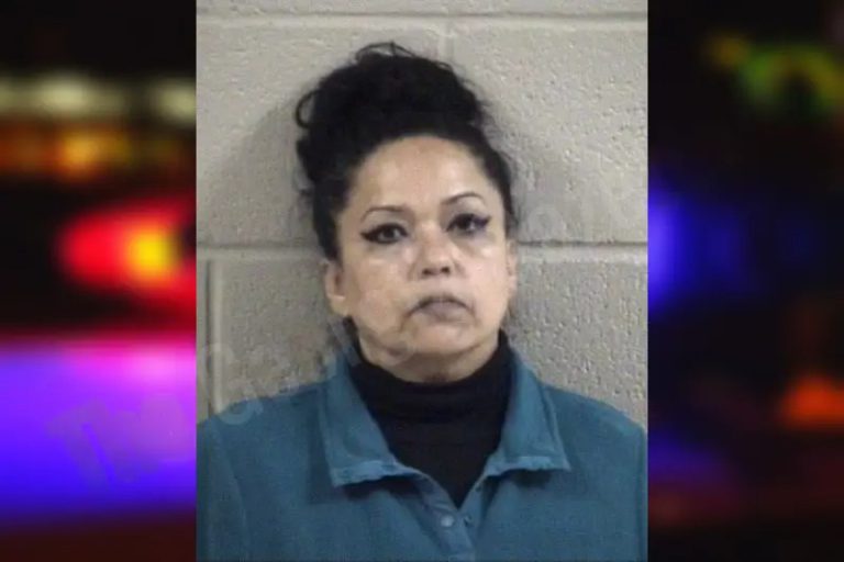 Patricia Rendon mugshot – Whitfield County , Georgia Patricia Rendon