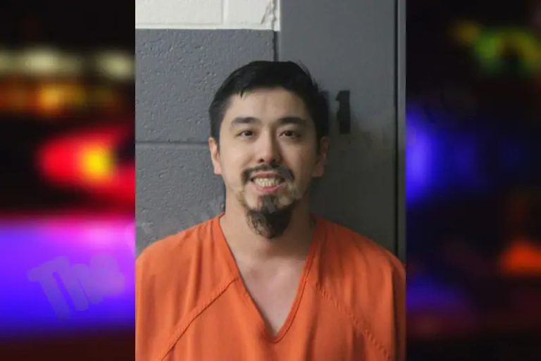 Phi Phan mugshot – Lumpkin County , Georgia Phi Phan