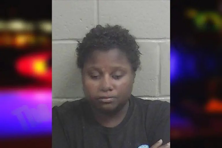 Porchia Lewis mugshot – Wayne County , Georgia Porchia Lewis