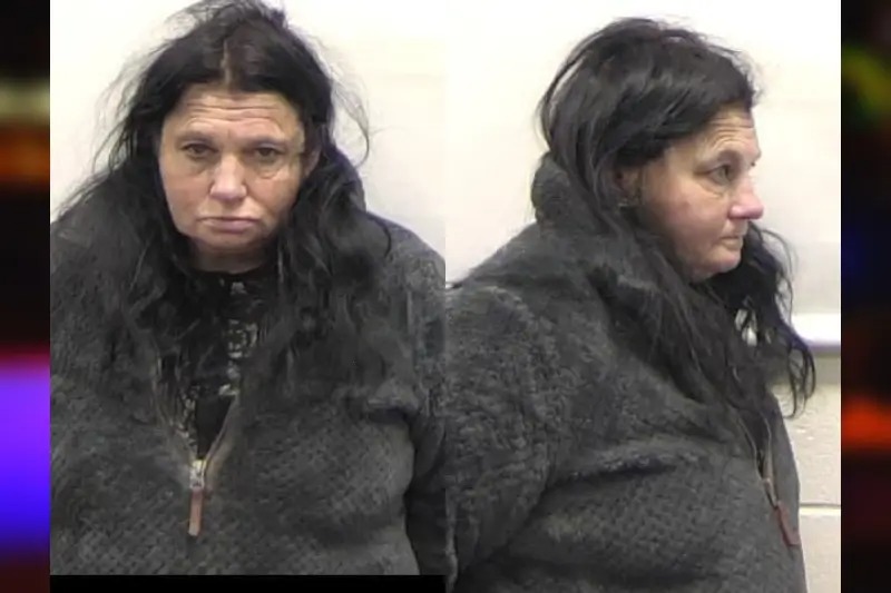 Robin Ansley Mugshots