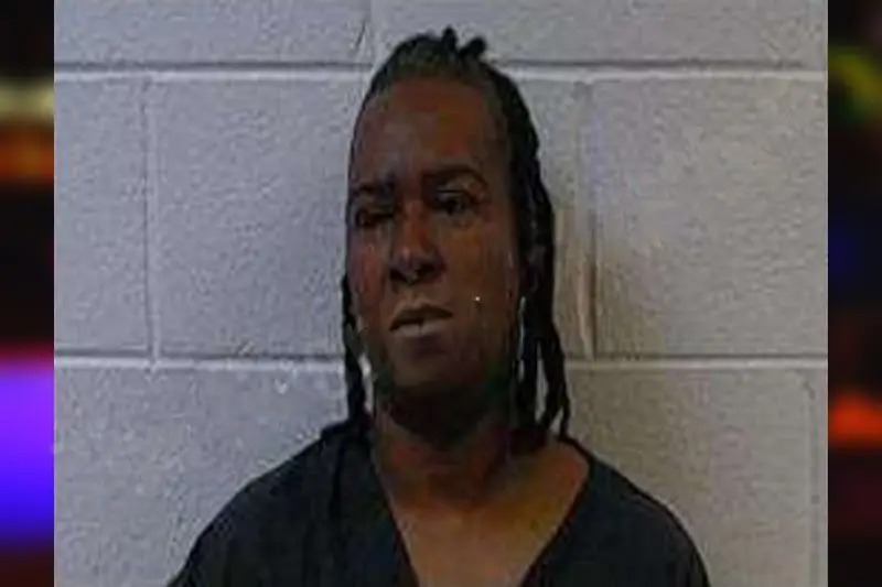 Sabrina Turner Mugshots