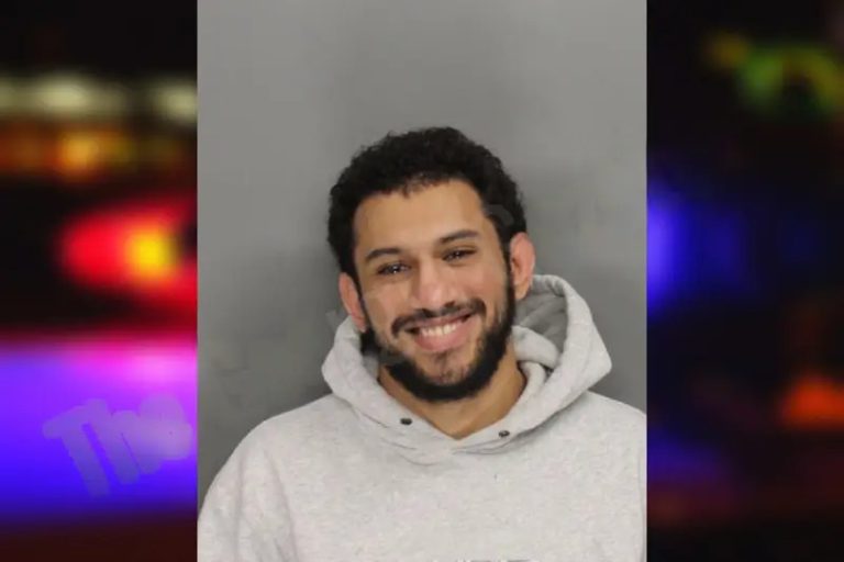 Seifeldin Elayouty mugshot – Cobb County , Georgia Seifeldin Elayouty