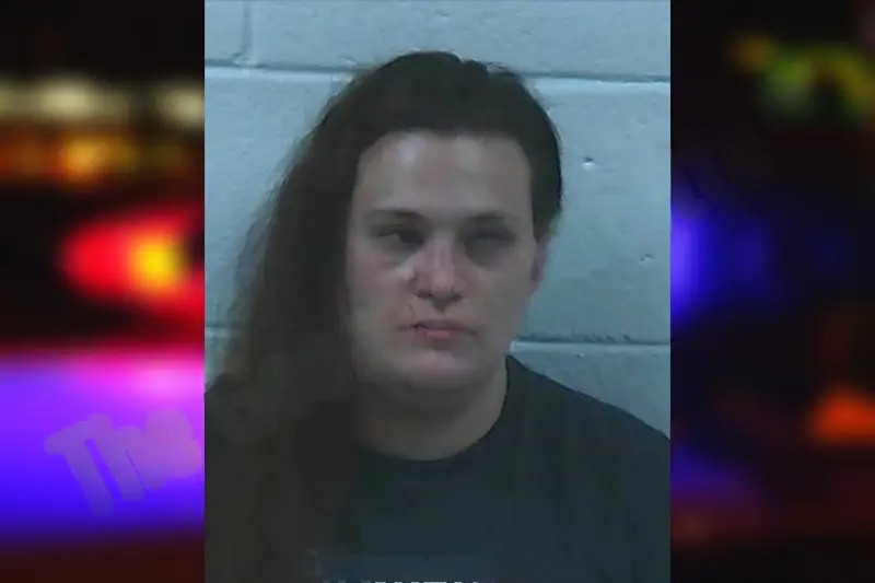 Shannon Harmon mugshot – Jackson County , Georgia Shannon Harmon mugshot