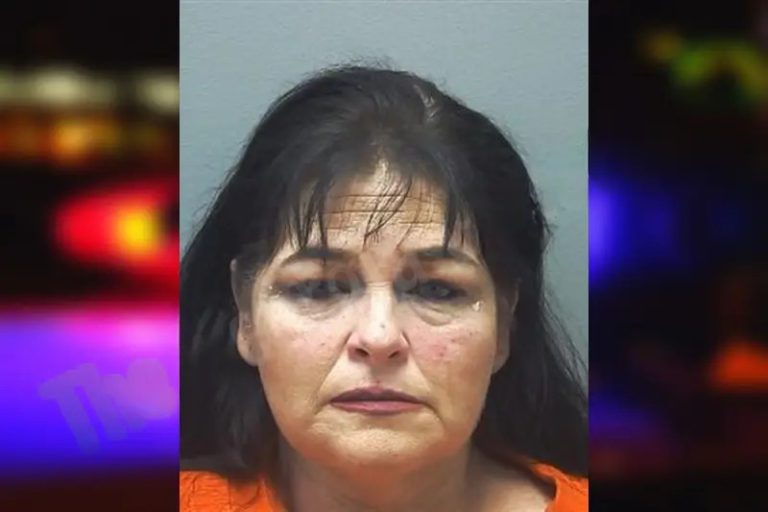 Shannon McAlister mugshot – Cherokee County , Georgia Shannon McAlister