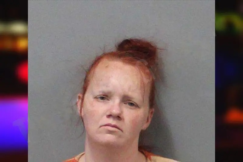 Shannon McGinnis Mugshots