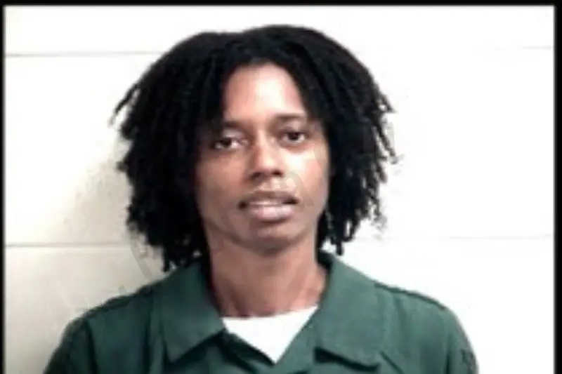 Shanon Palmore Mugshots