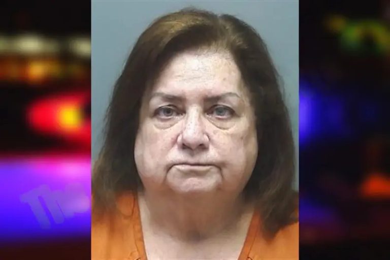 Sherri Dishman mugshot – Cherokee County , Georgia Sherri Dishman