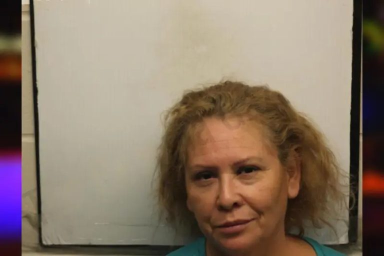 Silvia Garcia Trujillo mugshot – Chatham County , Georgia Silvia Garcia Trujillo