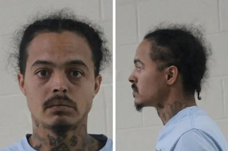 Stacy Harvey mugshot – Houston County , Georgia Stacy Harvey mugshot