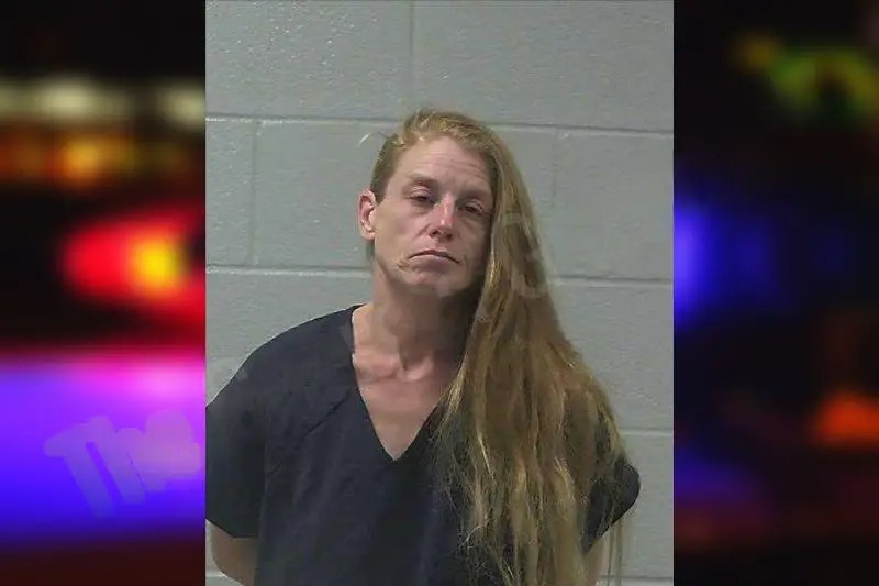 Stephanie Montalvo Mugshots