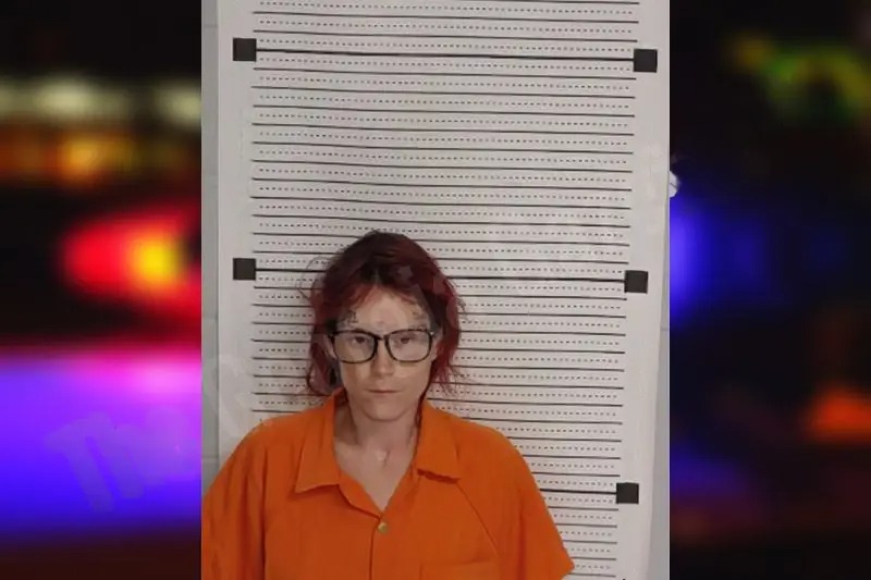 Stephanie Robinson Mugshots