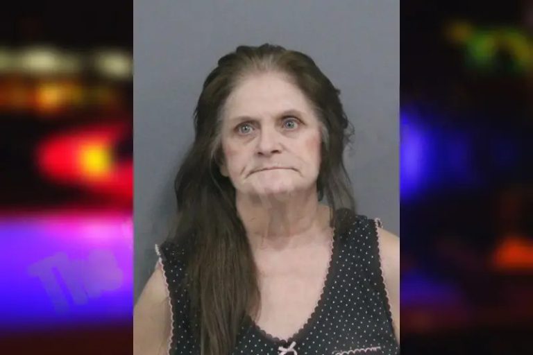 Susan Grove mugshot β Catoosa County , Georgia Susan Grove