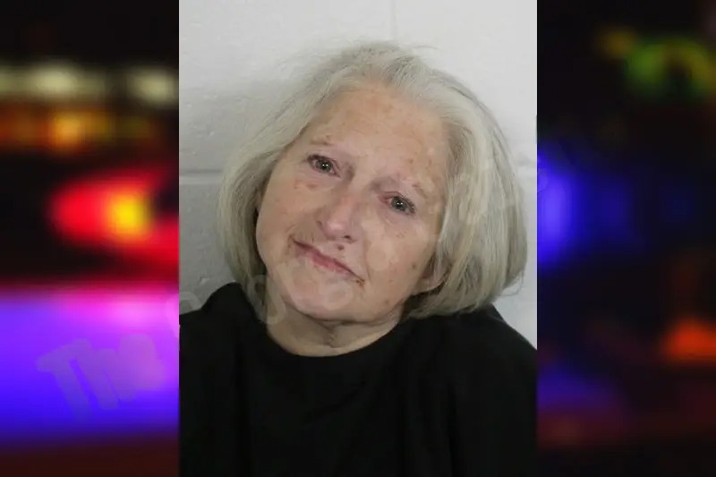 Tammy Norris Mugshots