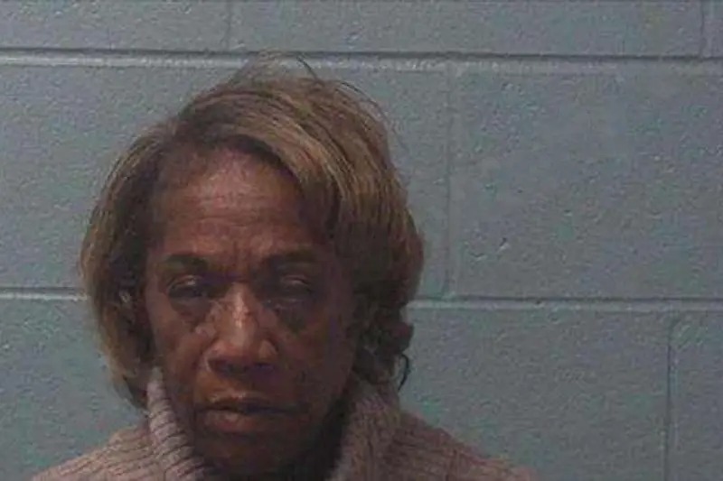 Teresa Johnson Mugshots